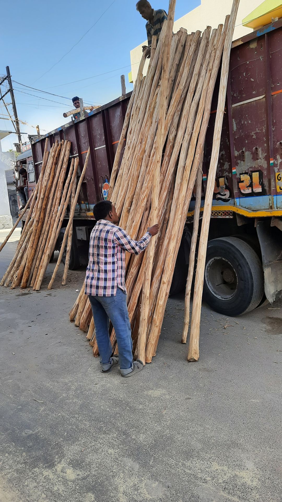 Wood Pole (Karnataka Nilgiri)