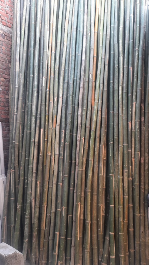 Delux Bamboo